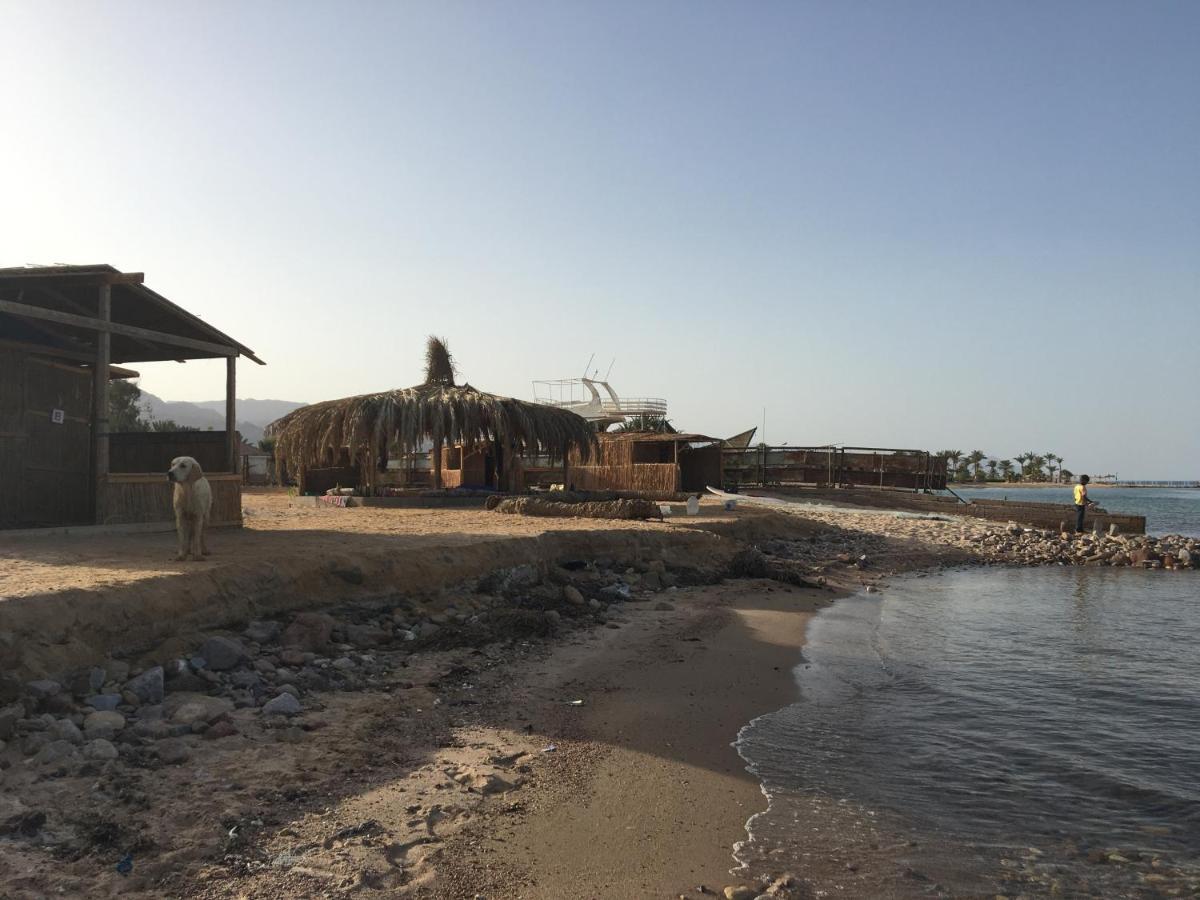 Hotel Sina Star Camp Nuweiba` Exteriér fotografie